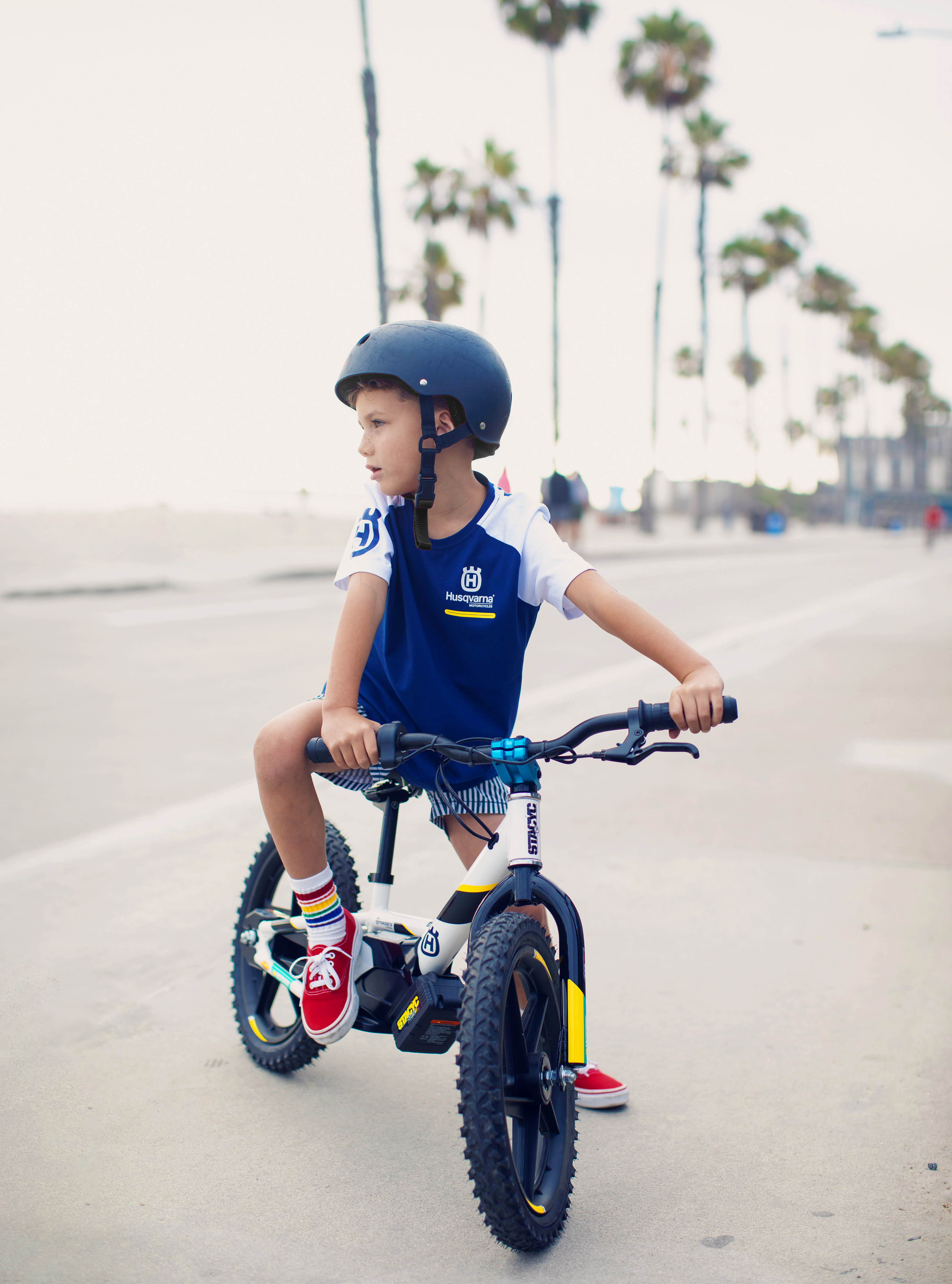 husqvarna replica edrive